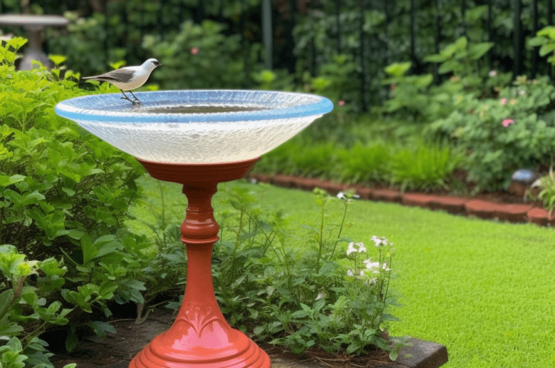 A Bird Bath you Can Make With…A Lamp?